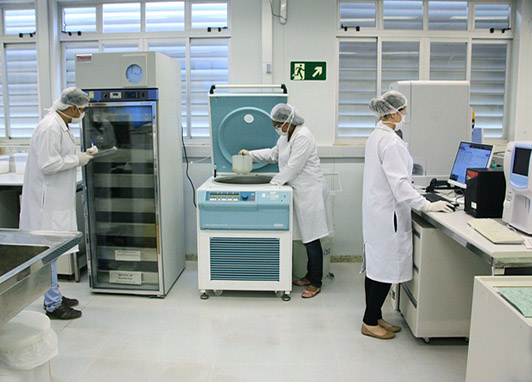 Aprovação do Biobanco da Fundação Hemominas